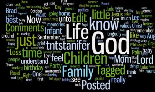 Wordle using all the words in my blog thus far.